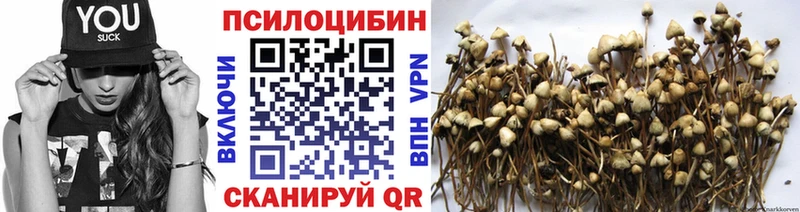 Псилоцибиновые грибы мицелий  Купить где  Западная Двина 